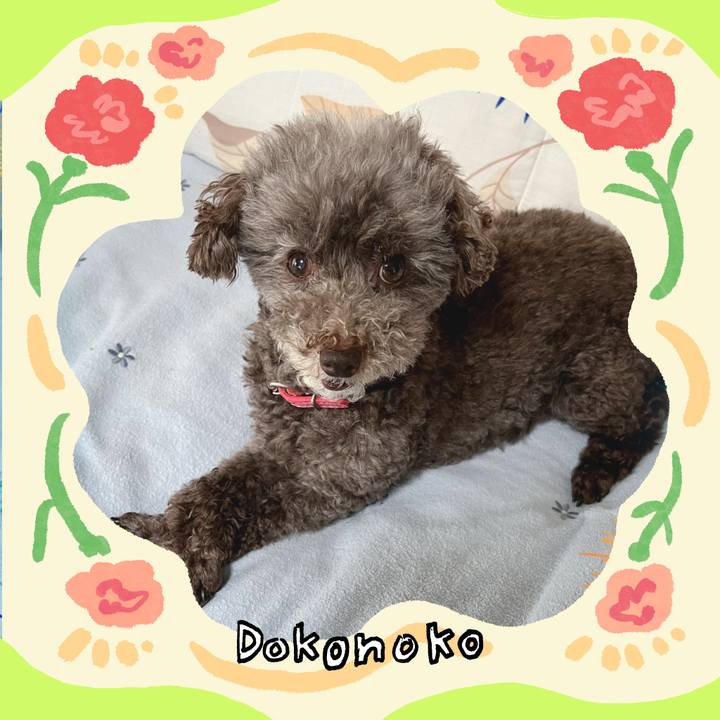 7feef57c 786a 4637 92be f750015de510 1715476876268