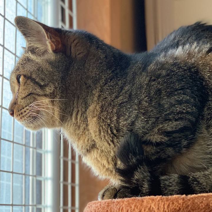 7feef907 17c4 48b8 b0d8 4d64abac9d03 1597624503510