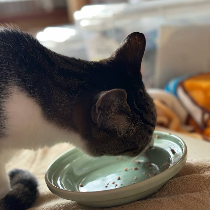 7fef1ff2 e134 4c1f 81fe efedb53d4308 1681694598913