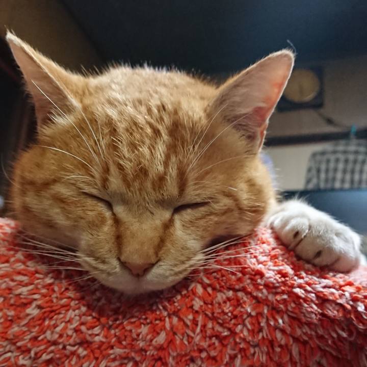 7fef7c1d c6e6 403d 85c6 9326bff3f1e3 1582360153672