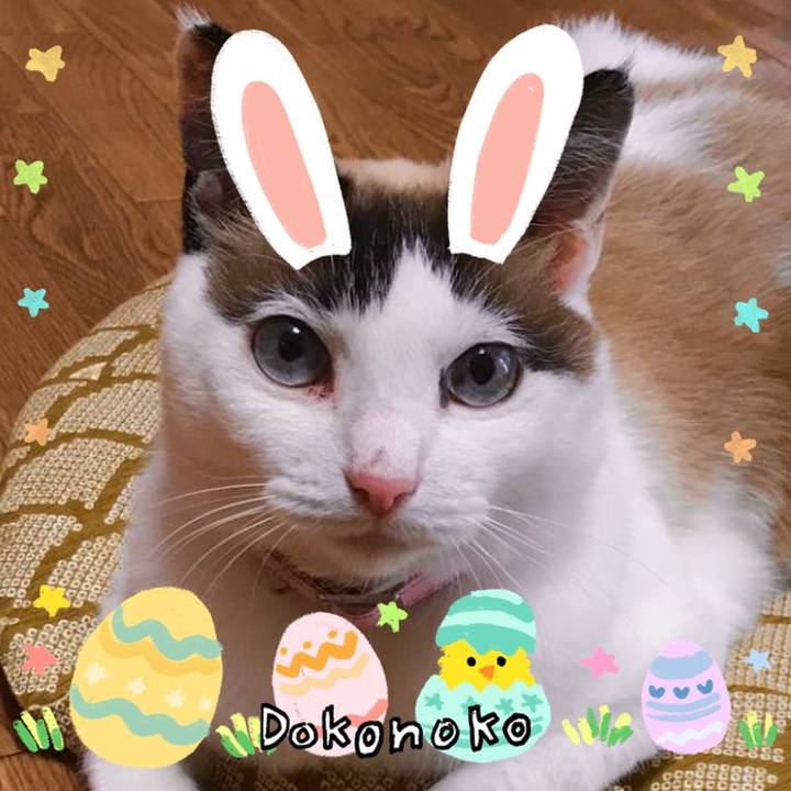 7feff254 d402 4f1e b9e1 ce9a8617aa3b 1712315288741