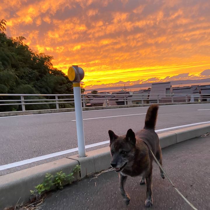 7ff0264c d4a2 4bfc ac95 7a84a6d529cc 1602147493152