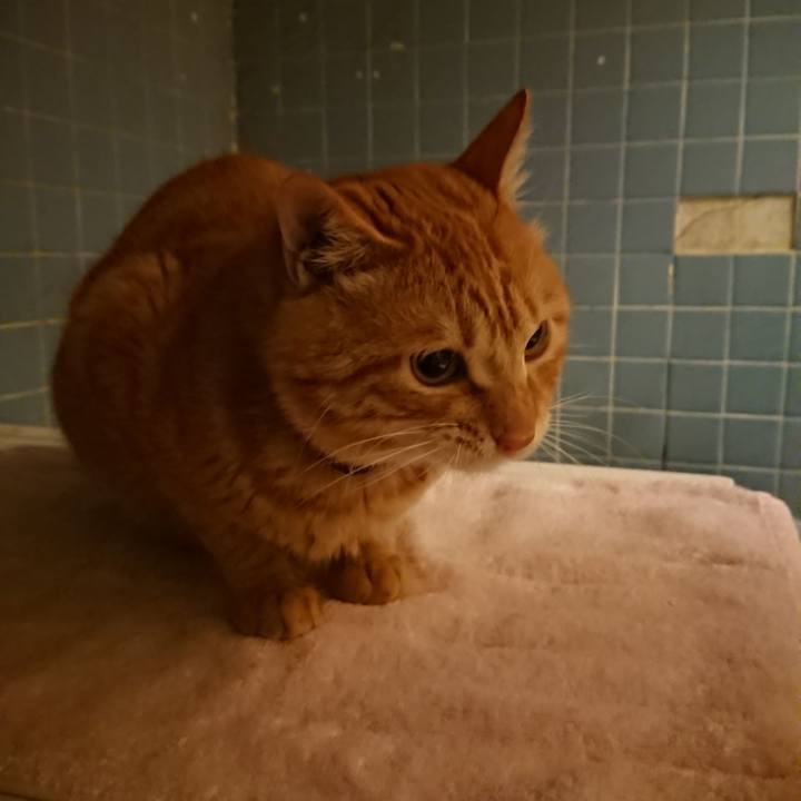 7ff043f9 ee35 40ab 861c bbcc85db7d80 1641549450318