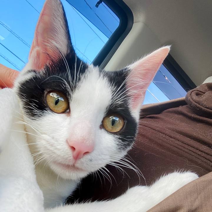 7ff0bcdf a518 4481 bc5b 496ad687decb 1636274946270