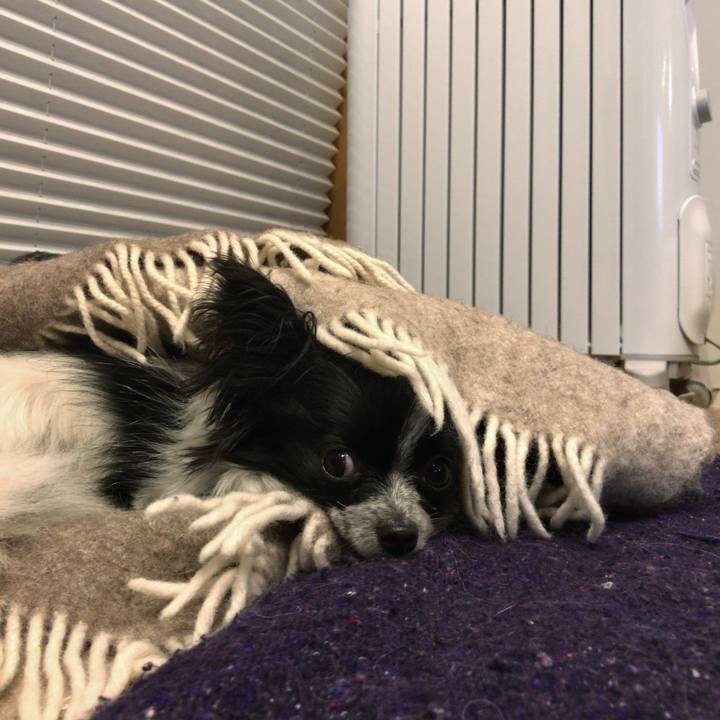 7ff0d776 85bf 41e8 b58e 5f1c316ae8d0 1511173914627