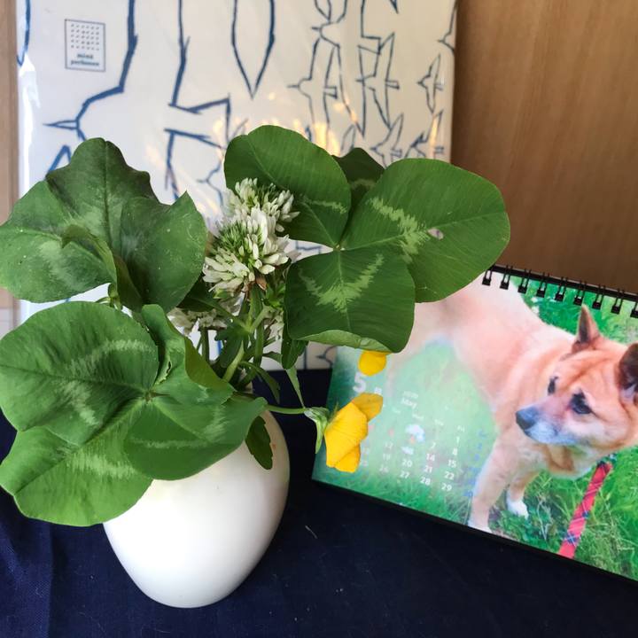 7ff0d9aa 60c6 449f 928a bb38f828f216 1588641169637