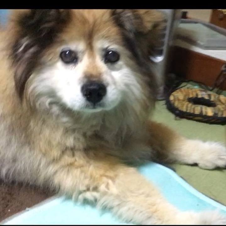 7ff0e1d4 29f0 48a3 86ab d3e32087520b 1561856127925