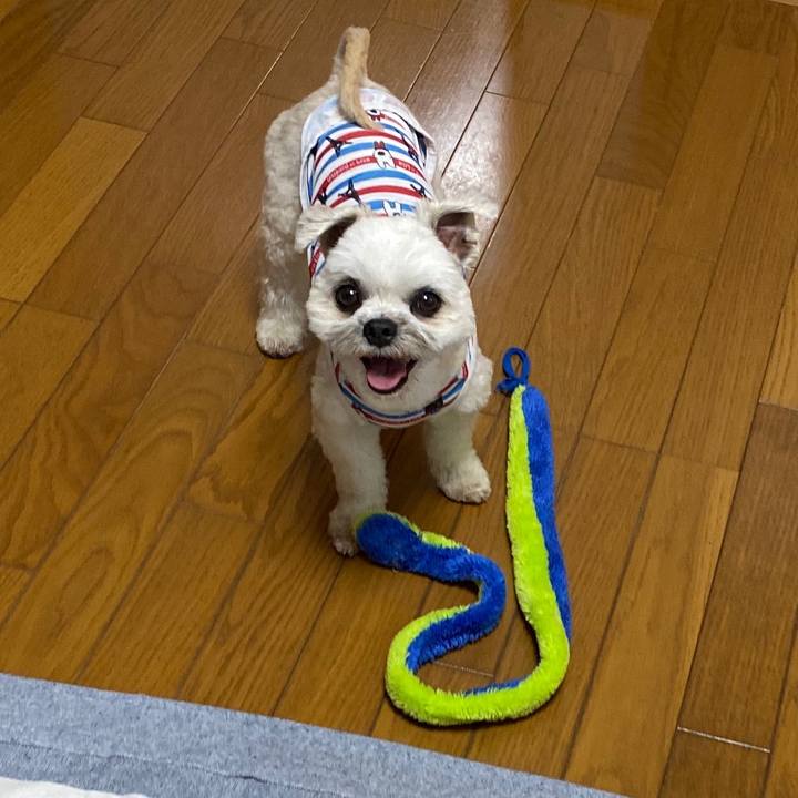 7ff114de 32ec 411f a63f 8c8d767a78d2 1592909397308