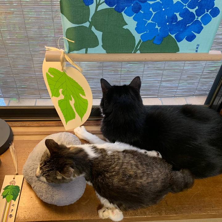 7ff1238f 39d4 4752 b3b3 2837ef8f4d76 1561937217107