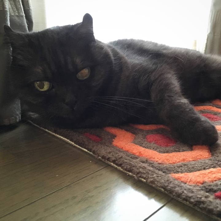 7ff13a26 a595 435c b44e fcde5071b068 1567301766393