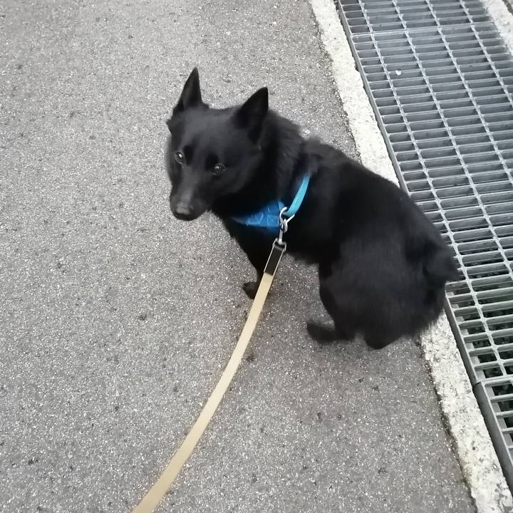 7ff14d48 07ec 4d45 bf9e 57f055509097 1613514149075