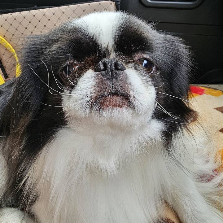 7ff150f9 770b 43df 8838 2d8c9b0798c4 1708675771988