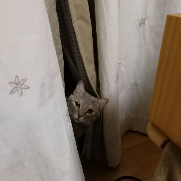 7ff1895c 7df4 49dc a36c e8157a100ab3 1544363811375