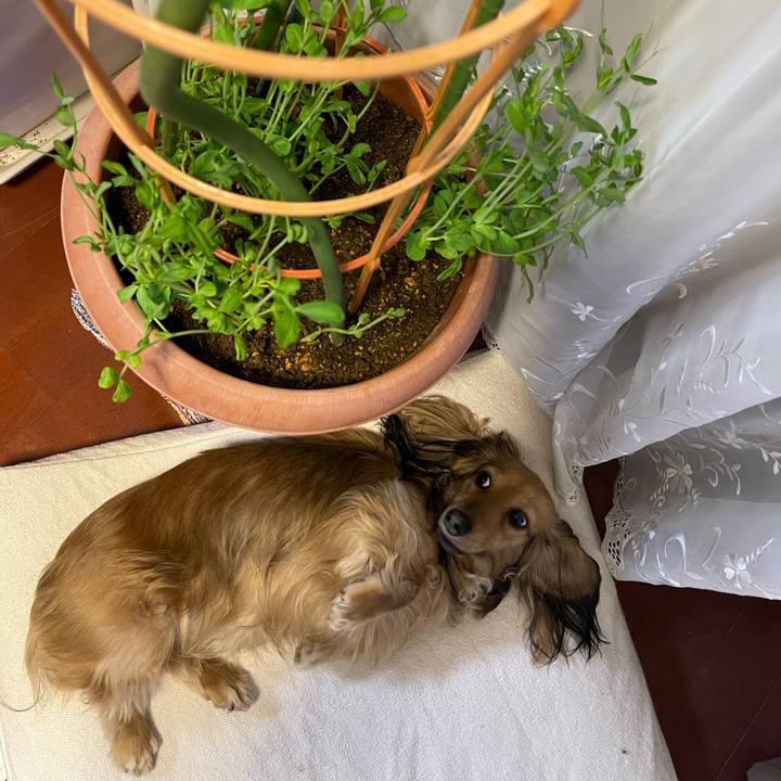 7ff1a4ee 28de 4215 826c d0cb470c88b9 1682591990668