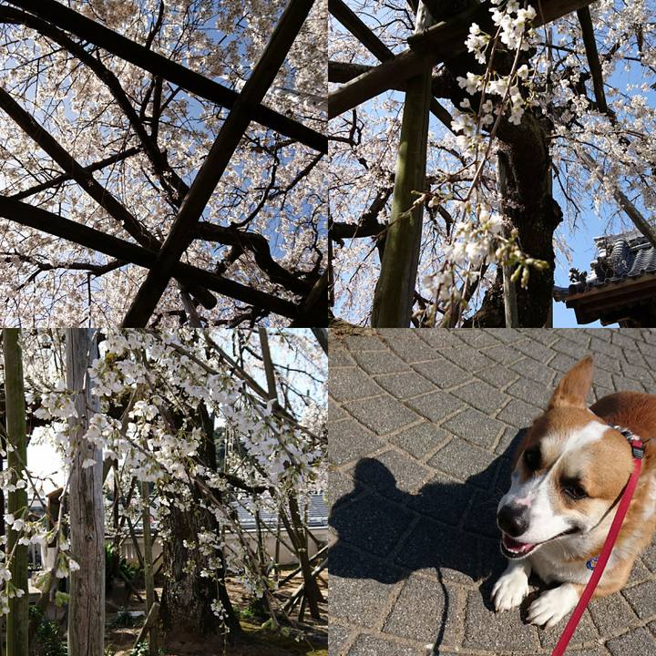 7ff1d836 b256 4b7b 9a8c ada764632157 1648384180216