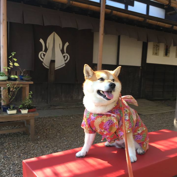 7ff24d32 2476 4890 adef 663ad8d99415 1570245169236