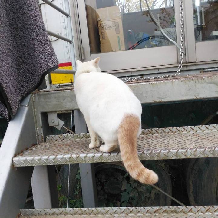 7ff264c0 e932 4dec 8b7c af00da05e918 1576200190580