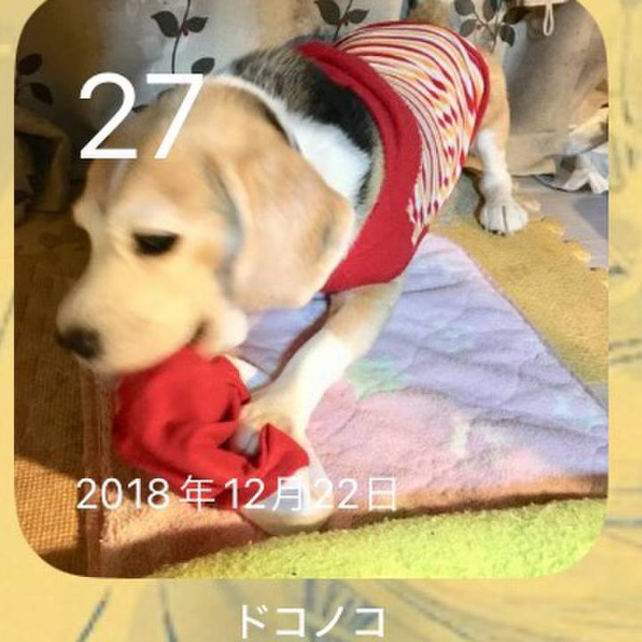 7ff26917 9176 457e bea3 5e9d29bbd79d 1703639924645