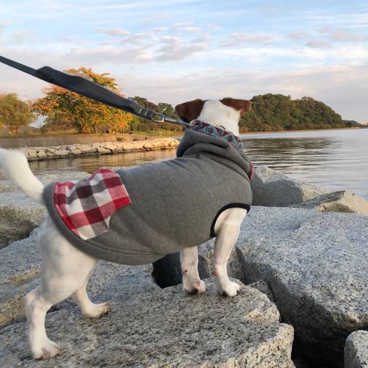 7ff27b19 2373 4a83 90af 39f9e6260b49 1539850765154