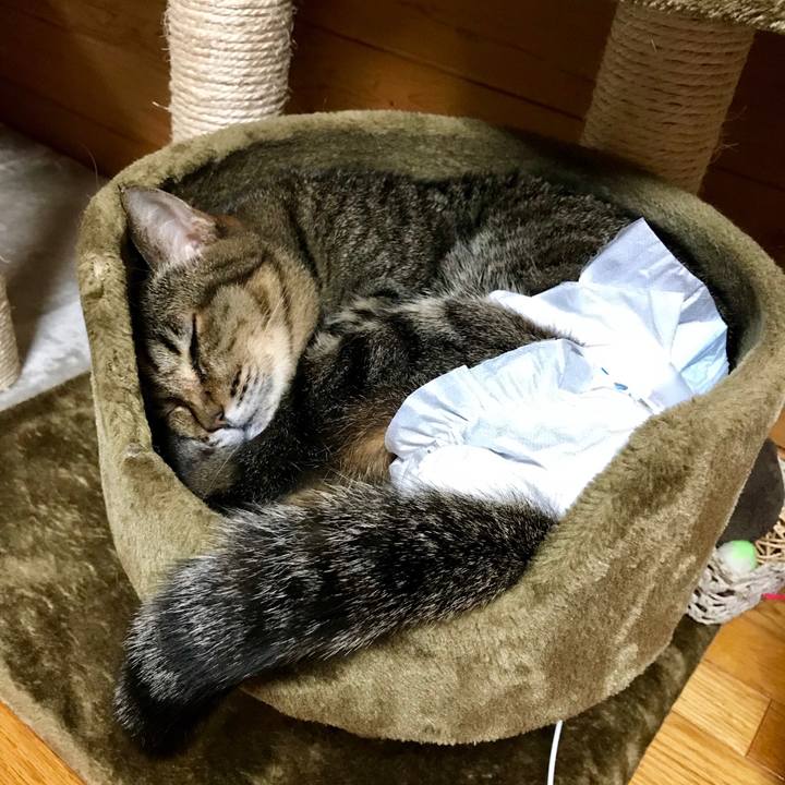 7ff2aaac 6804 4ca0 84d7 257c6c01bbc1 1557748228637