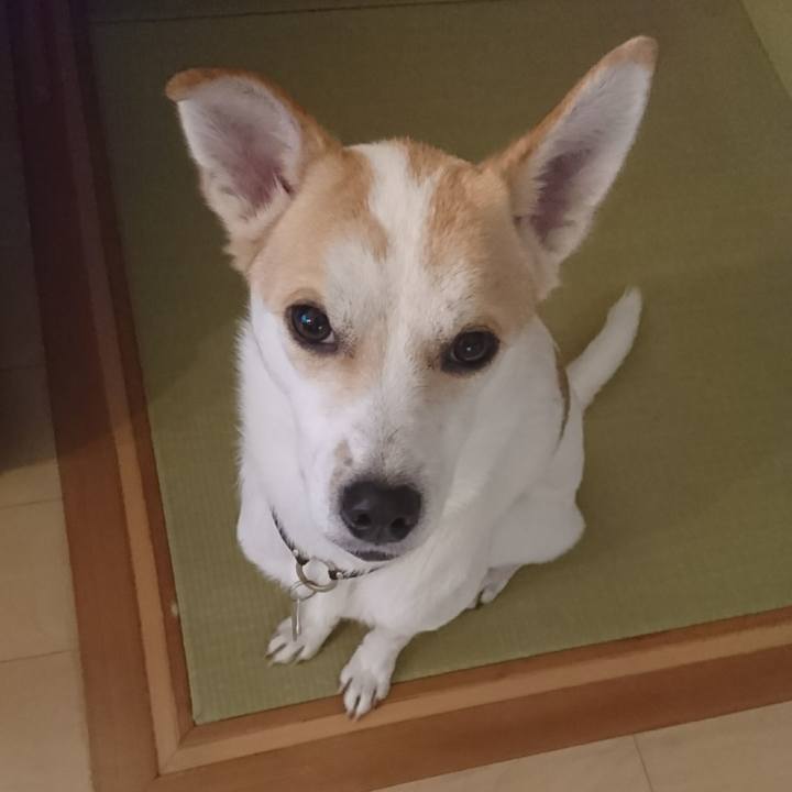 7ff2c1b3 3b32 48c5 95fa 24d3eb4e512c 1517824870493