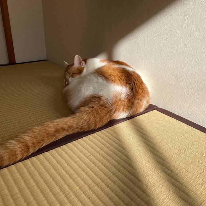 7ff2e694 0677 4fce b07a 6e29e94bf9d6 1668400615868