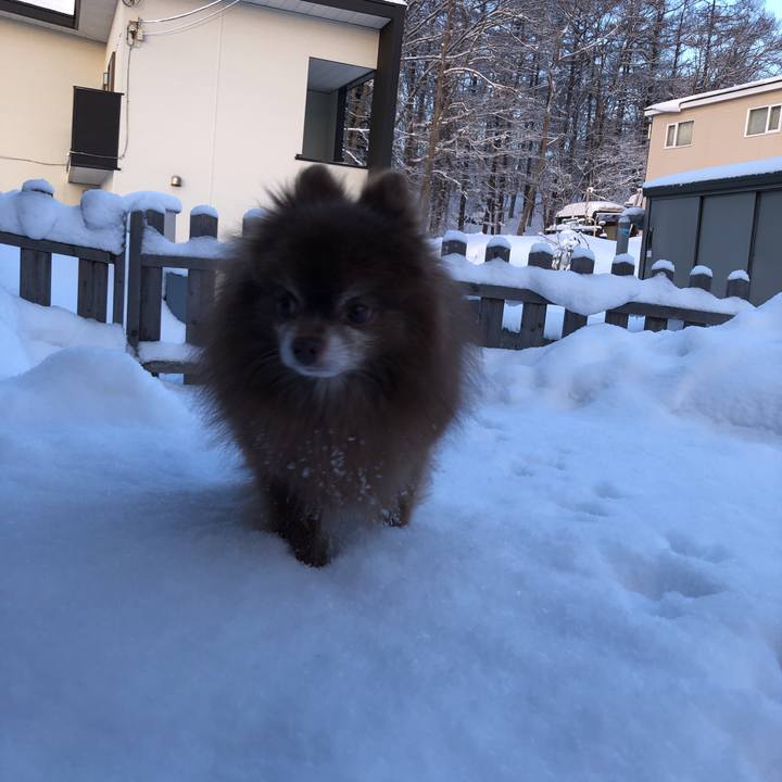 7ff30864 93af 494e a84f 3fa586215942 1613598152075