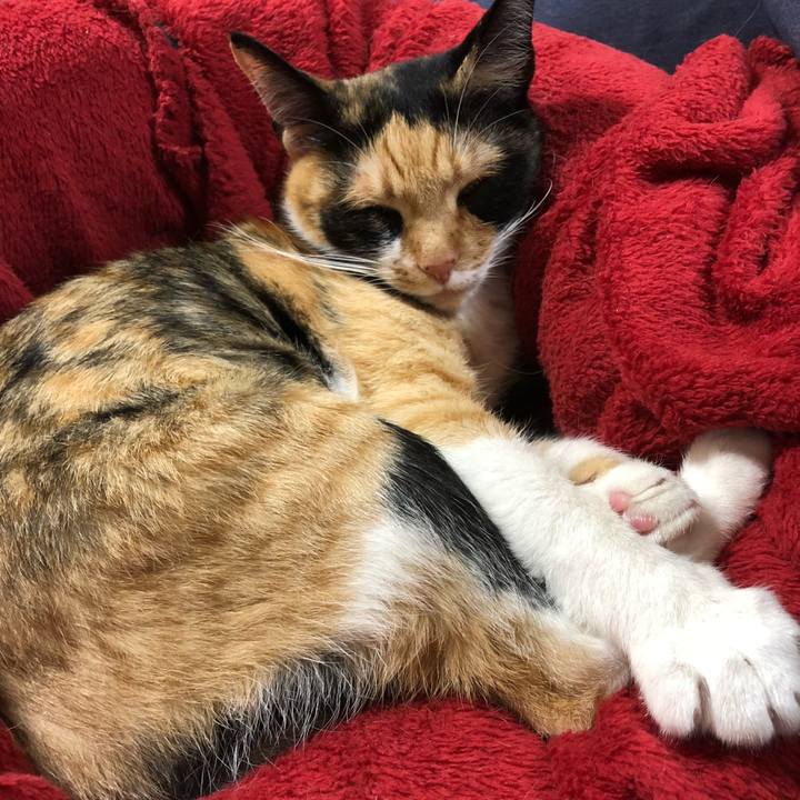 7ff32fd4 21da 42eb aff9 987be03cf6c5 1526562068141