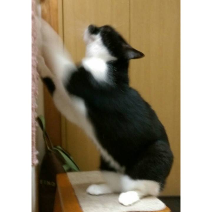 7ff34acb a59b 4ea7 b0bc 650b7b9b28c2 1546171372040