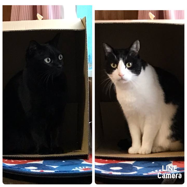 7ff36244 56c2 4a26 a042 46821f84e402 1614933140899