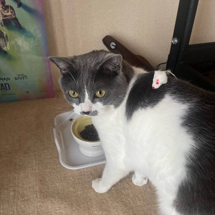 7ff38591 192f 445f bf67 1441d82d6425 1685953228348