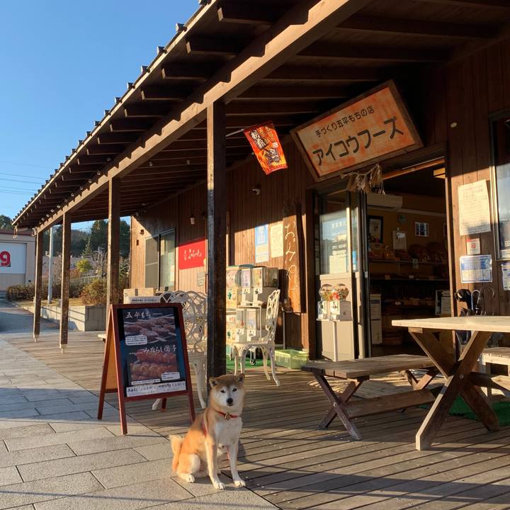 7ff3a8ca c313 4886 b120 f364dcfa68ed 1606636569702