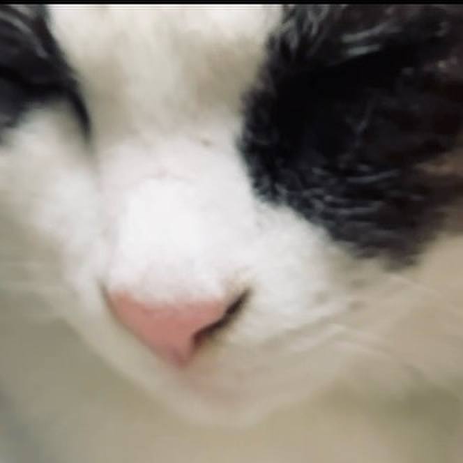 7ff3c58d 21e8 41de 89a0 8ee2c6fe707d 1736587729663