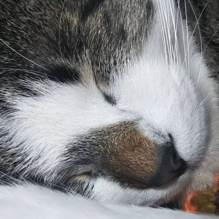 7ff3cf7b 10b6 456c be9a 38b880ce71f3 1609606413160