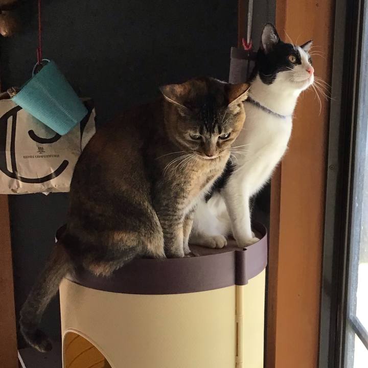 7ff3e0d3 fa90 43e4 b39b e964ed105e20 1638416787063