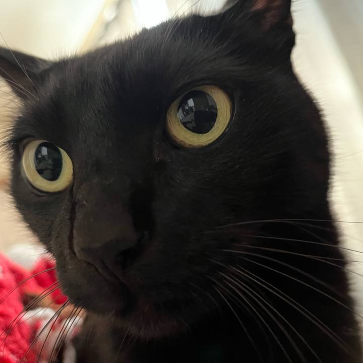 7ff40033 0a7f 4091 a820 544ca1b5d9d7 1735788933442