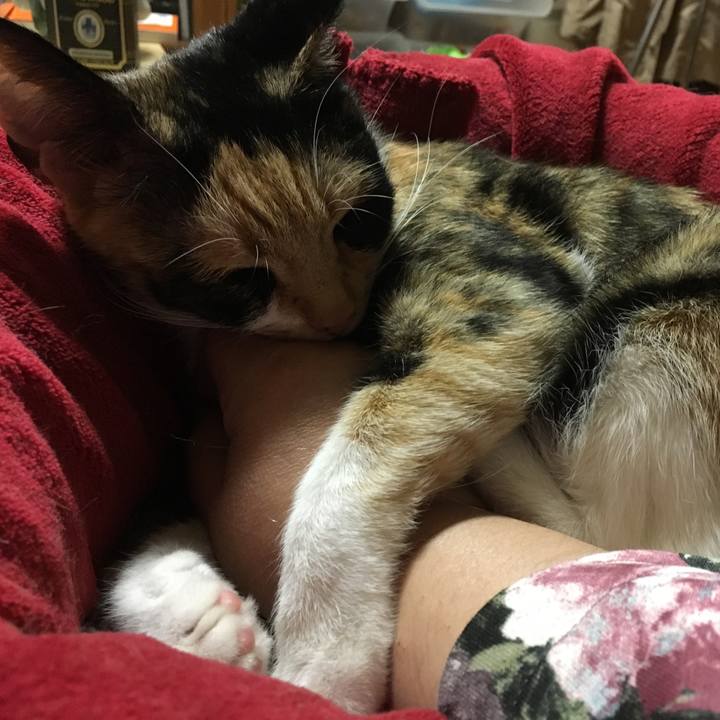 7ff418d1 7162 4f21 a1ff c316004e5be8 1522835539800