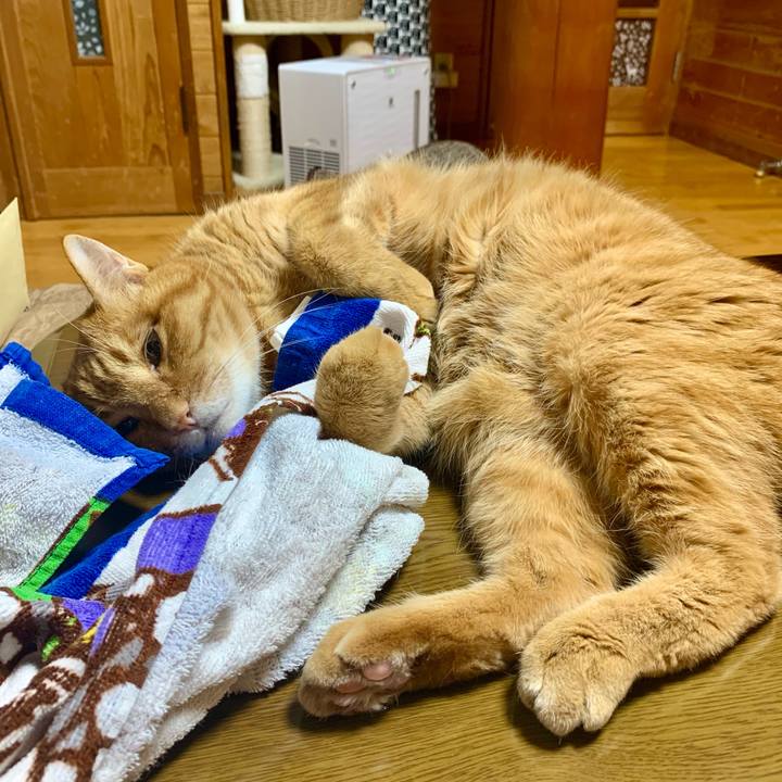 7ff41de7 c255 42a8 91d8 c4fd2d456e11 1619012110455