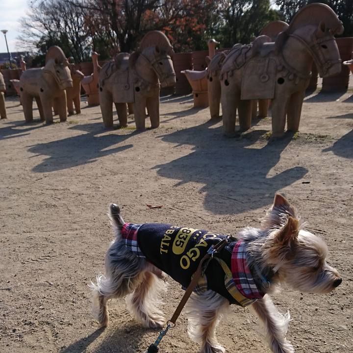 7ff427f0 86ed 49bd 9ca5 43bb5f5b3b6b 1513574135505