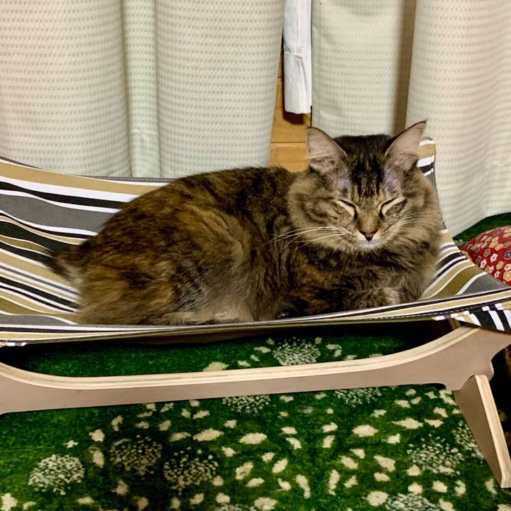 7ff46314 d7d1 4059 b2c1 03d4ed3cbaa8 1680273138279