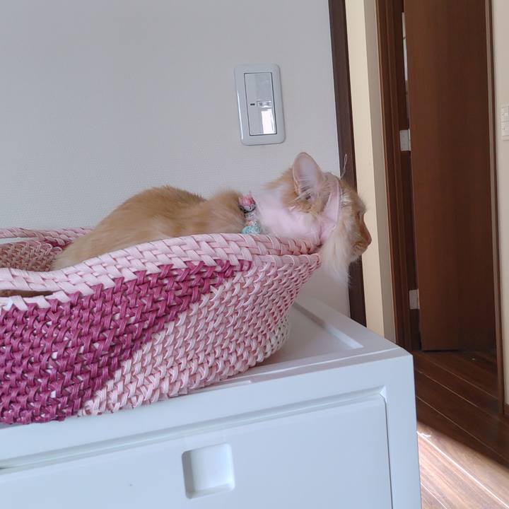 7ff46985 d7f6 4072 853a 17c8b879e848 1683339313951