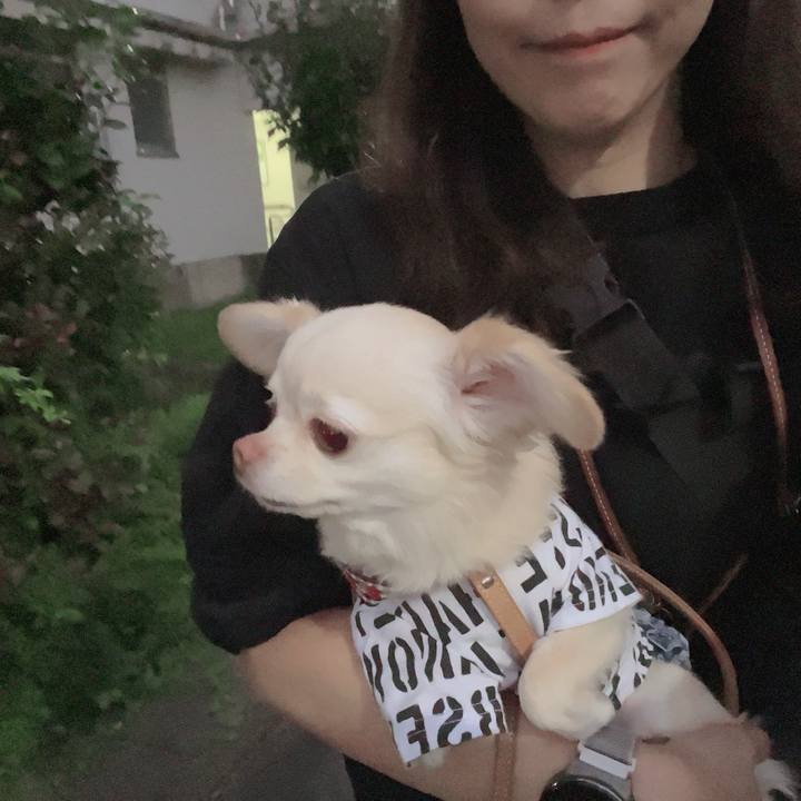 7ff478e4 d910 4678 aee2 2a30c1421f66 1725358766204