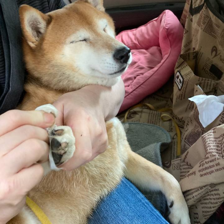 7ff48a3b 043a 4222 8eda 33d2f91033b0 1655003286992