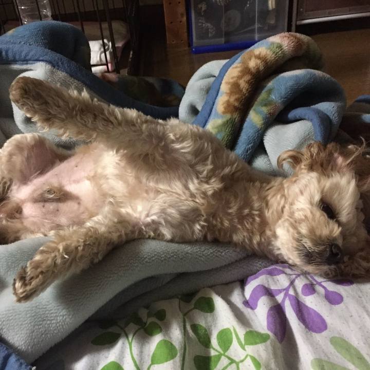 7ff48fe9 6d37 4fc8 8038 42d2c5ad778c 1526301440485