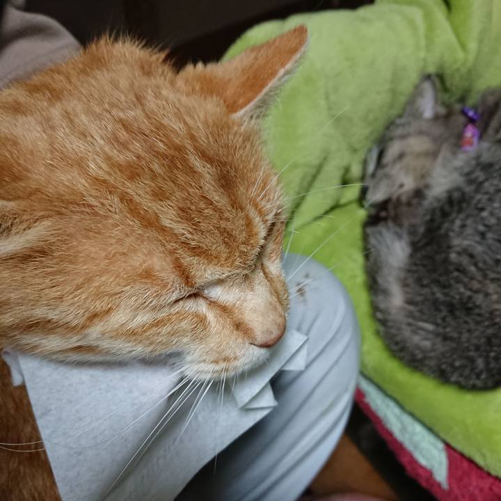 7ff49969 e4b4 4b7a 8581 a5e7b2929edf 1588714567795