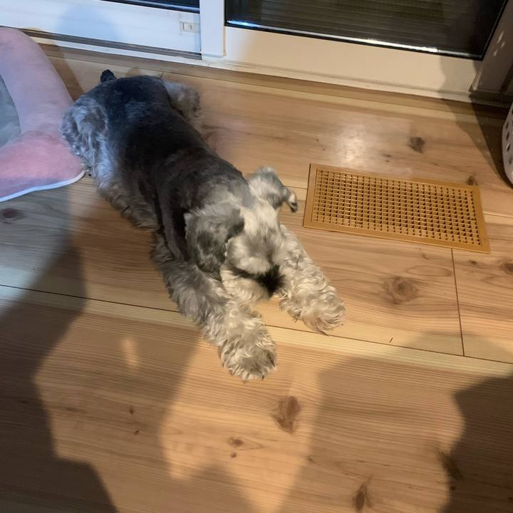 7ff4bfe3 5a8c 4841 a25c 4dbce74d8dd1 1661862159358