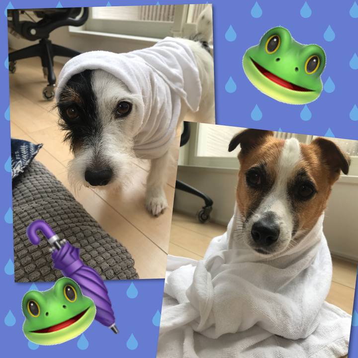 7ff4cb68 010c 4031 8dd0 3bbdfe29eca3 1530842230034