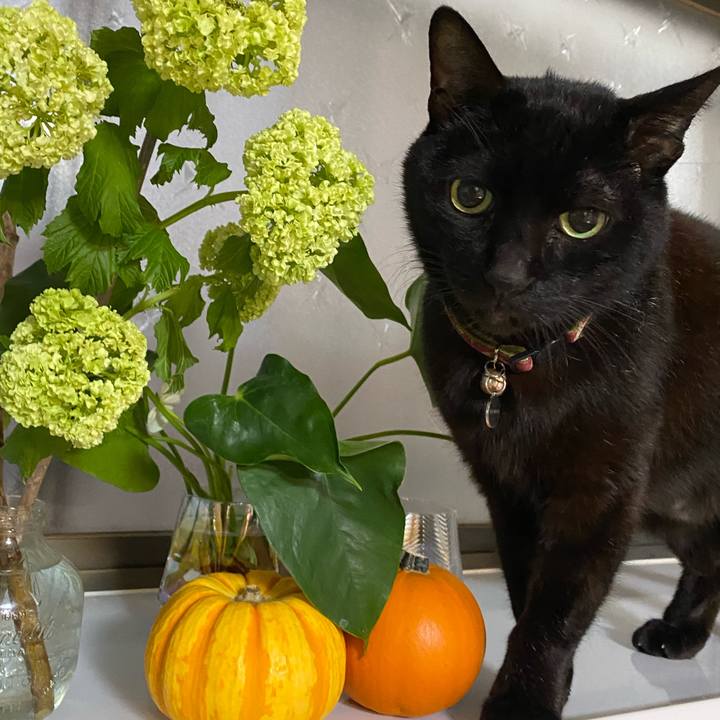 7ff4e4c2 622f 4985 b6a4 baca58104cb7 1667946156256