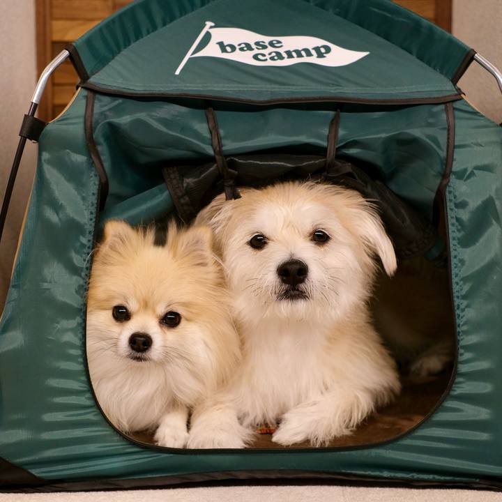 7ff4f76e 04c8 4ddd bfb7 c1288fd2cb97 1763417926061