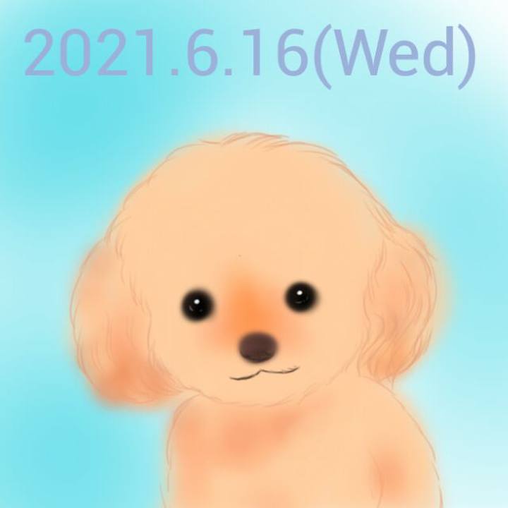 7ff501d9 28ad 41f8 aba8 3a6e4c47fb17 1623846164942